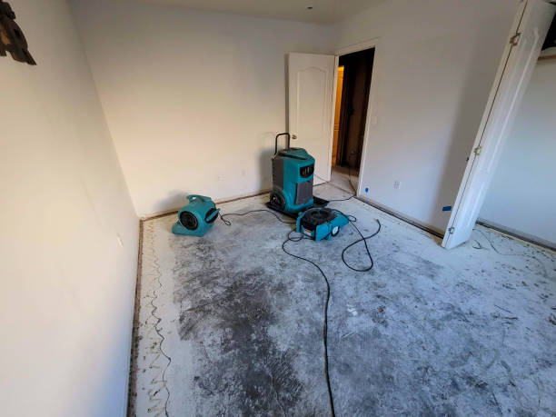Best Sewage cleanup and water damage restoration  in Lake Darby, OH