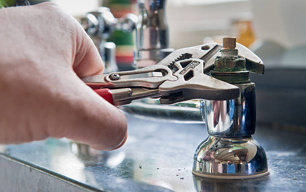 Best Mold removal after water damage  in Lake Darby, OH